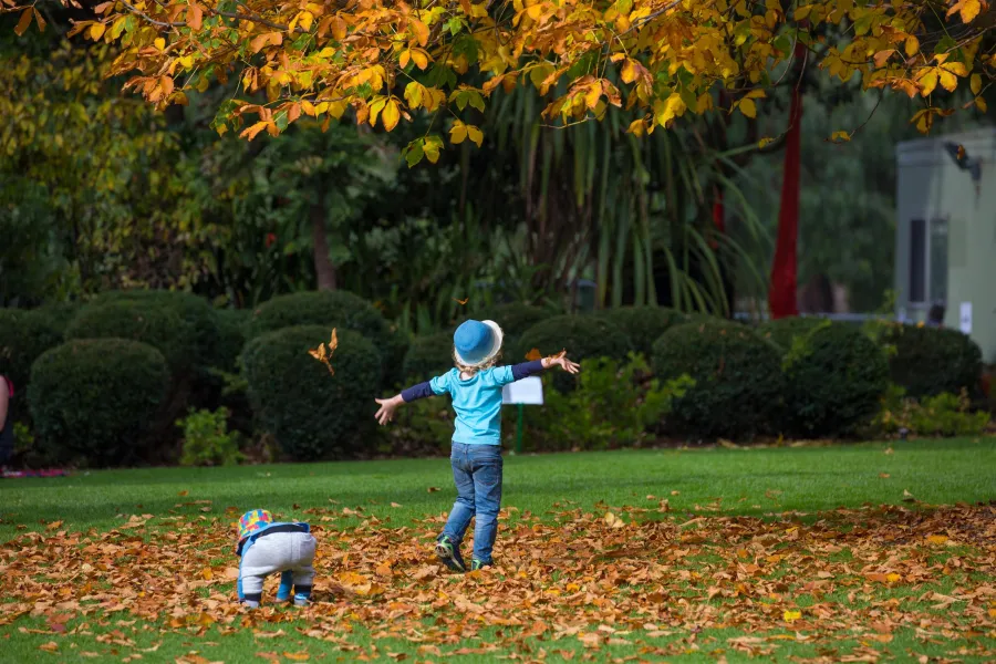 Botanic Gardens Image Children In Autumn Leaves - Self-guided school excursions to Geelong Botanic Gardens