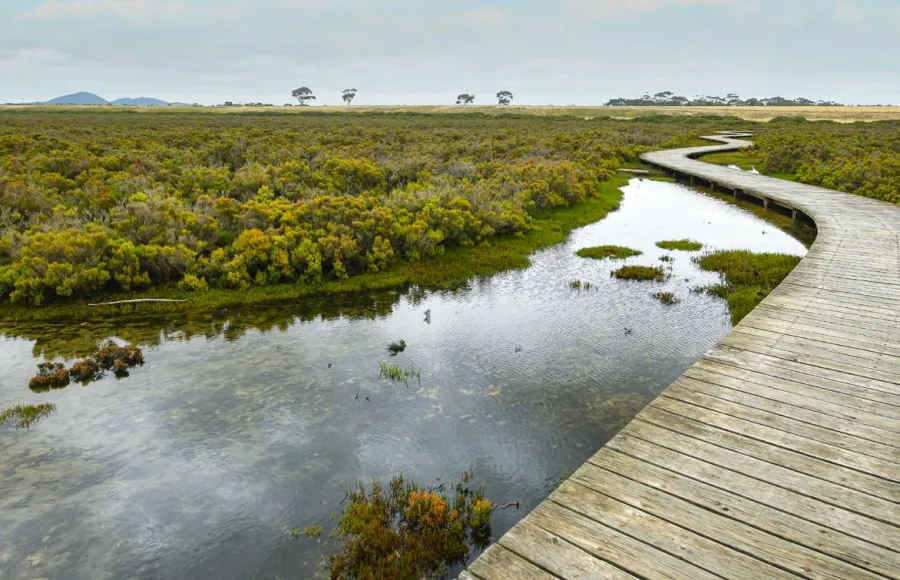 Hovells Creek Trail takes you from Limeburners Point in Corio through to the township of Lara. Hovells Creek Trail takes you from Limeburners Point in Corio through to the township of Lara.