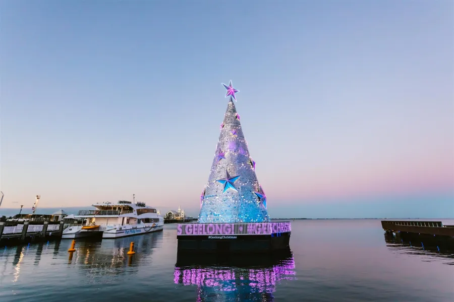 Floating Christmas tree