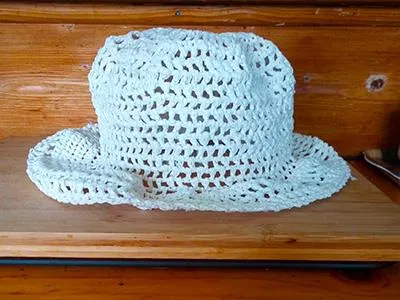 Plastic hat