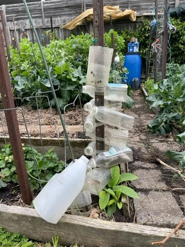 Reuse in the garden