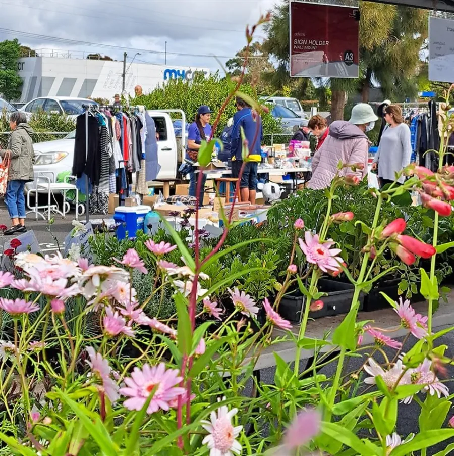 Belmont Market Plant Stall - Getting to the Belmont Market