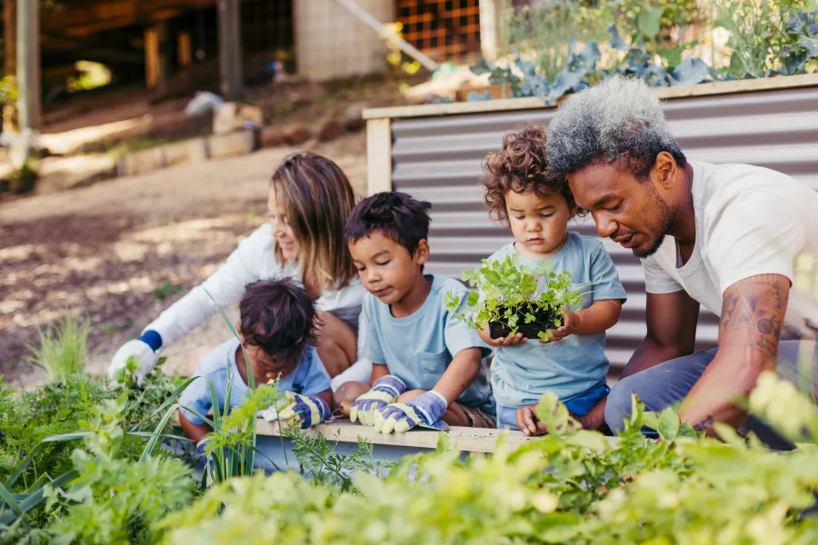 CoGG_Image_Library__young family gardening.jpg Young family working together planting vegetables.
