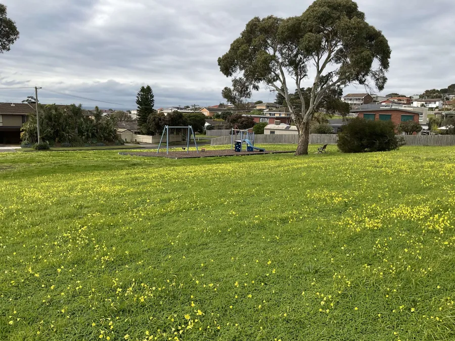 Smythe Street Reserve