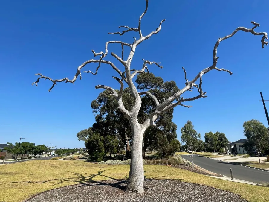 Trundle Drive Park