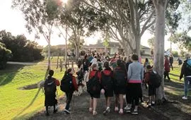 Active travel programs