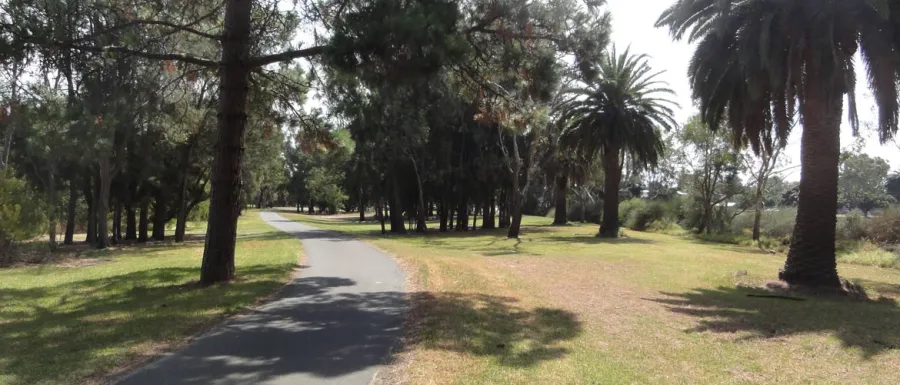 Belmont Common