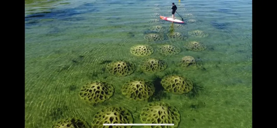 The Dell Eco Reef