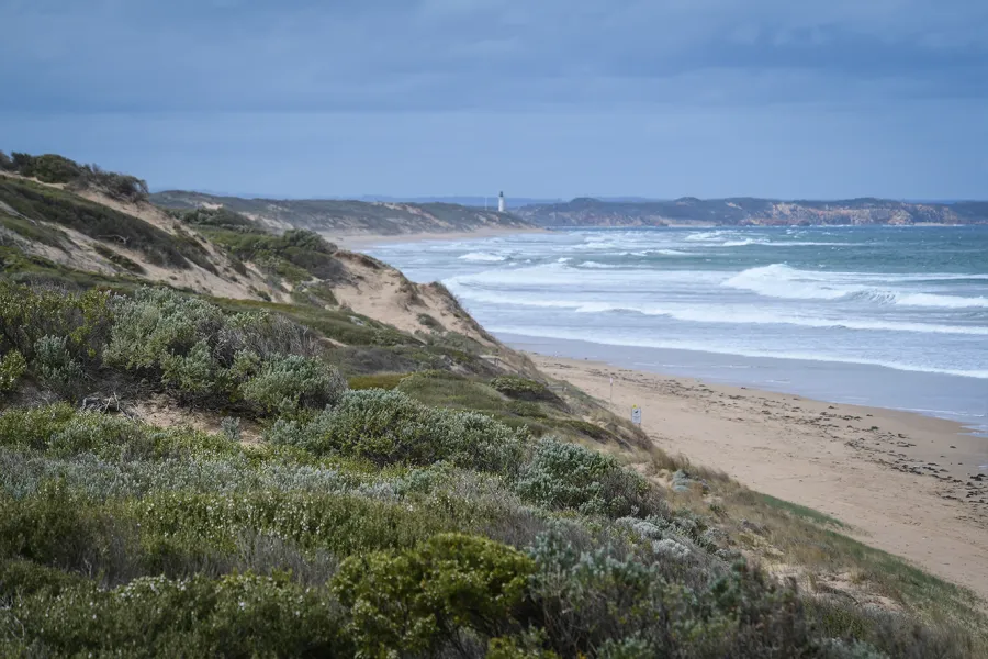 Vegetation covering dune system with ocean in background at Buckley Park Foreshore