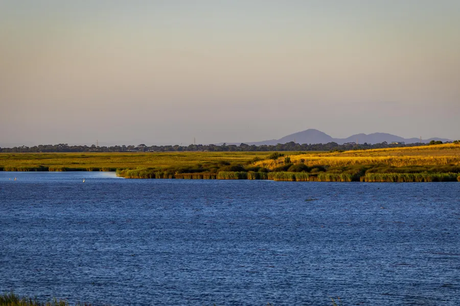 Lake Connewarre