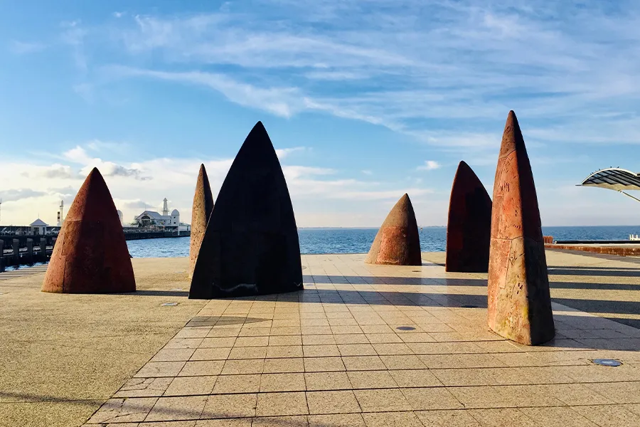 Geelong waterfront fins
