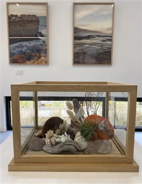 Image of terrarium