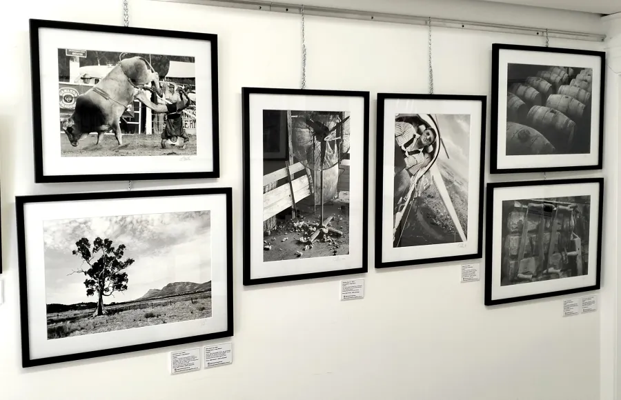 Framed, black and white photographs on a gallery wall