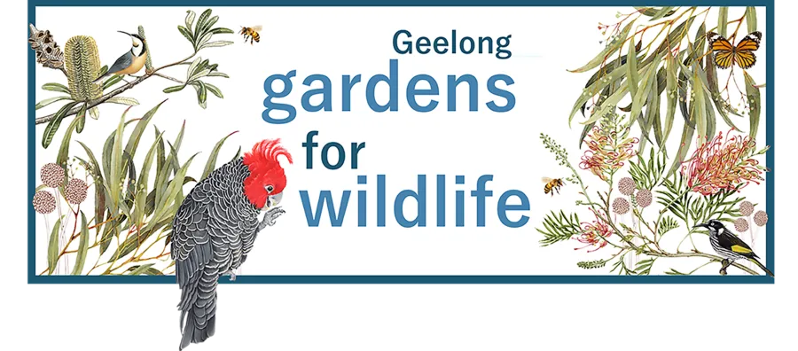 Geelong Gardens for Wildlife Geelong Gardens for Wildlife