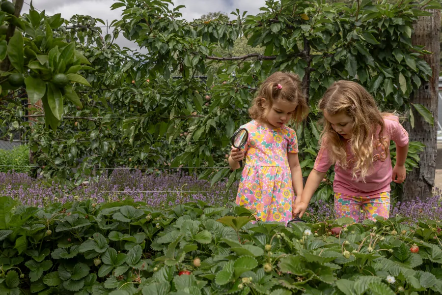 Two children looking at plants at the Geelong Botanic Gardens.