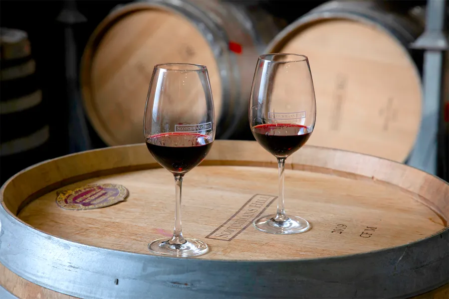 from_vineyard_to_glass