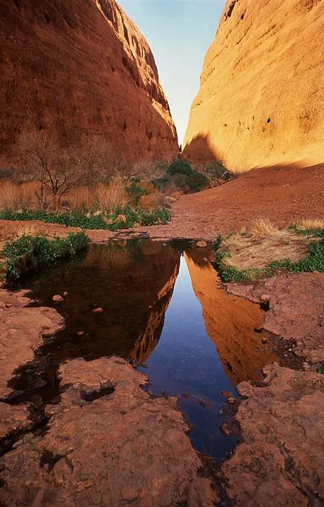 Image of an oasis
