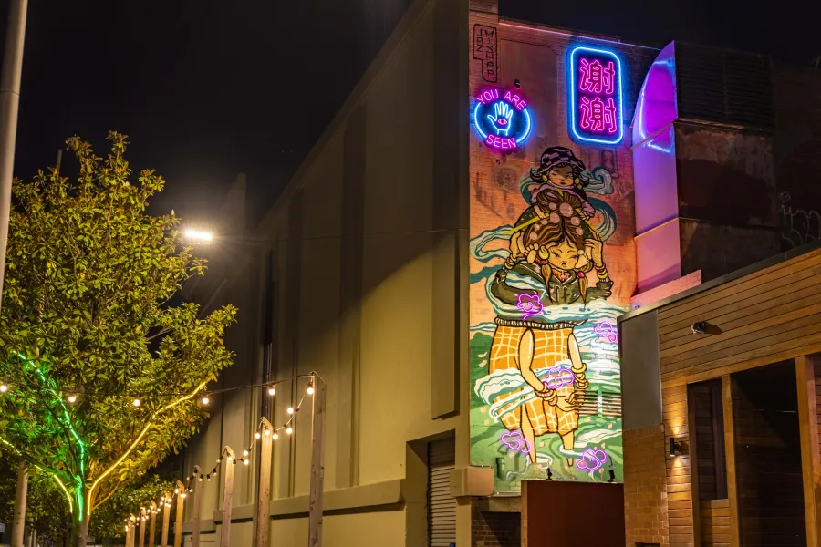 Union St, Geelong (back of Regent Theatre)