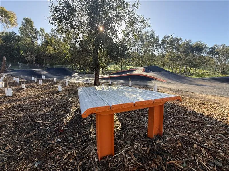The Hill Mountain Bike Park viewing seat The Hill Mountain Bike Park viewing seat