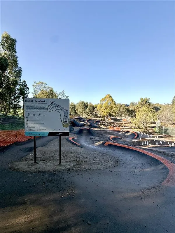 The Hill Mountain Bike Park jump lines