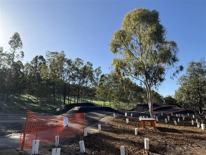 The Hill Mountain Bike Park planted area