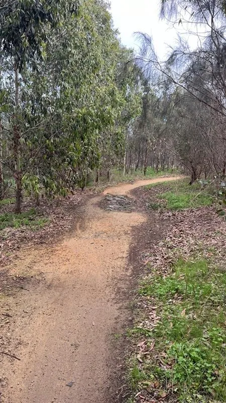 The Hill Mountain Bike Park