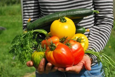 veggies