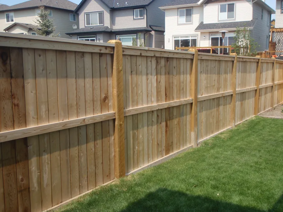 Fence Paling Fence in backyard