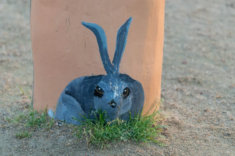 Grey rabbit at the base of a bollard