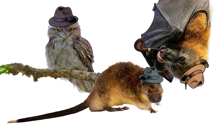 Undercover agents main image Undercover agents main image