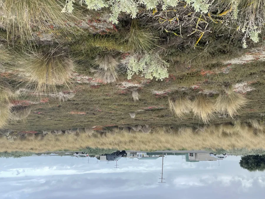 saltmarsh and grassland