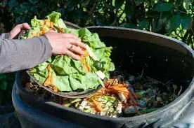 Composting at home Image of composting at home