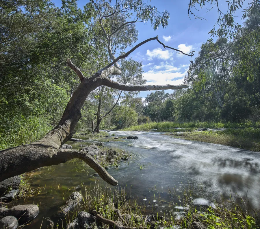 Barwon River rapids - Red Gum Island