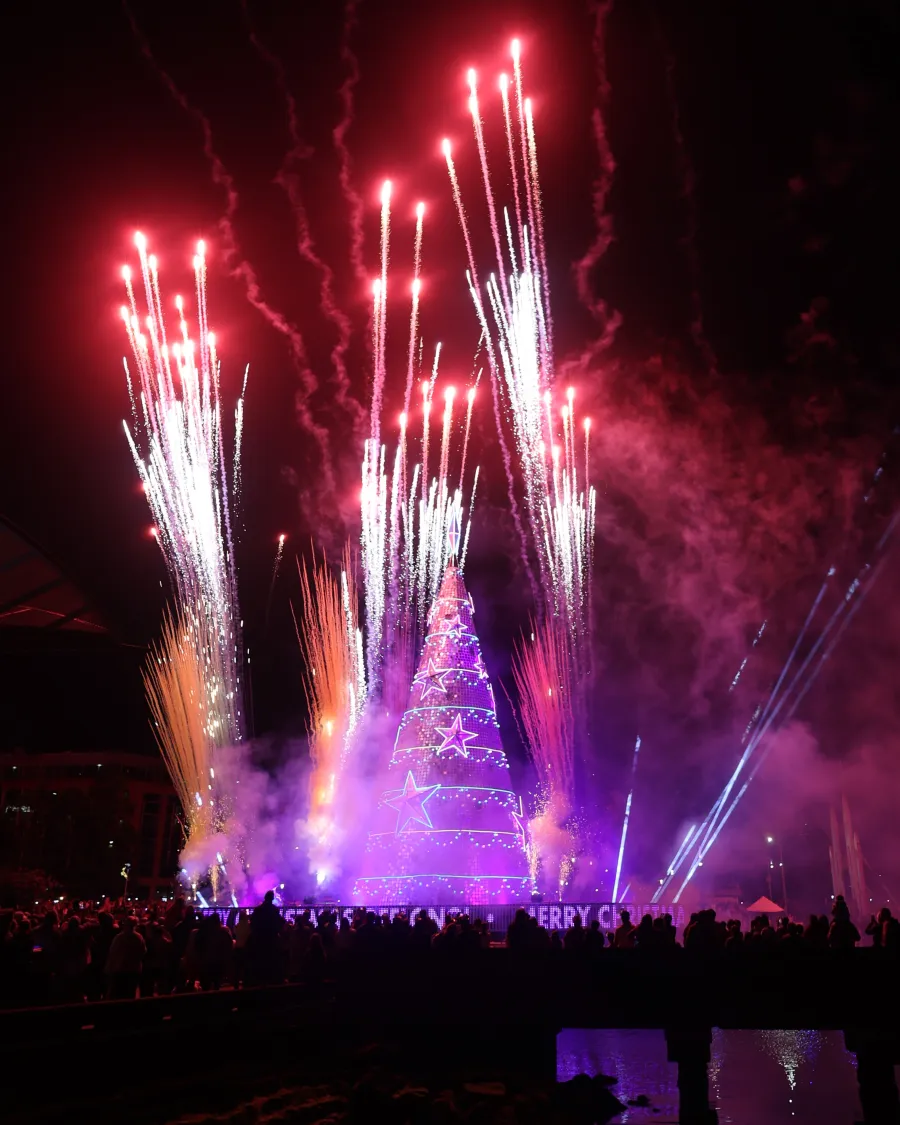 Floating Christmas Tree lights up 2025