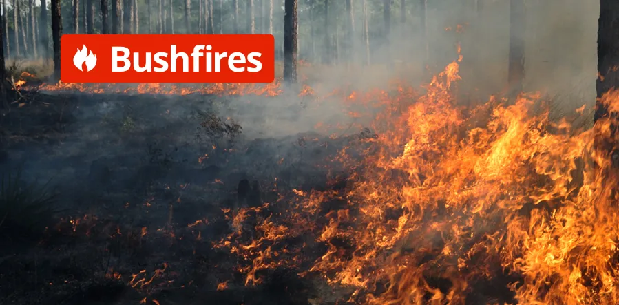 bushfires