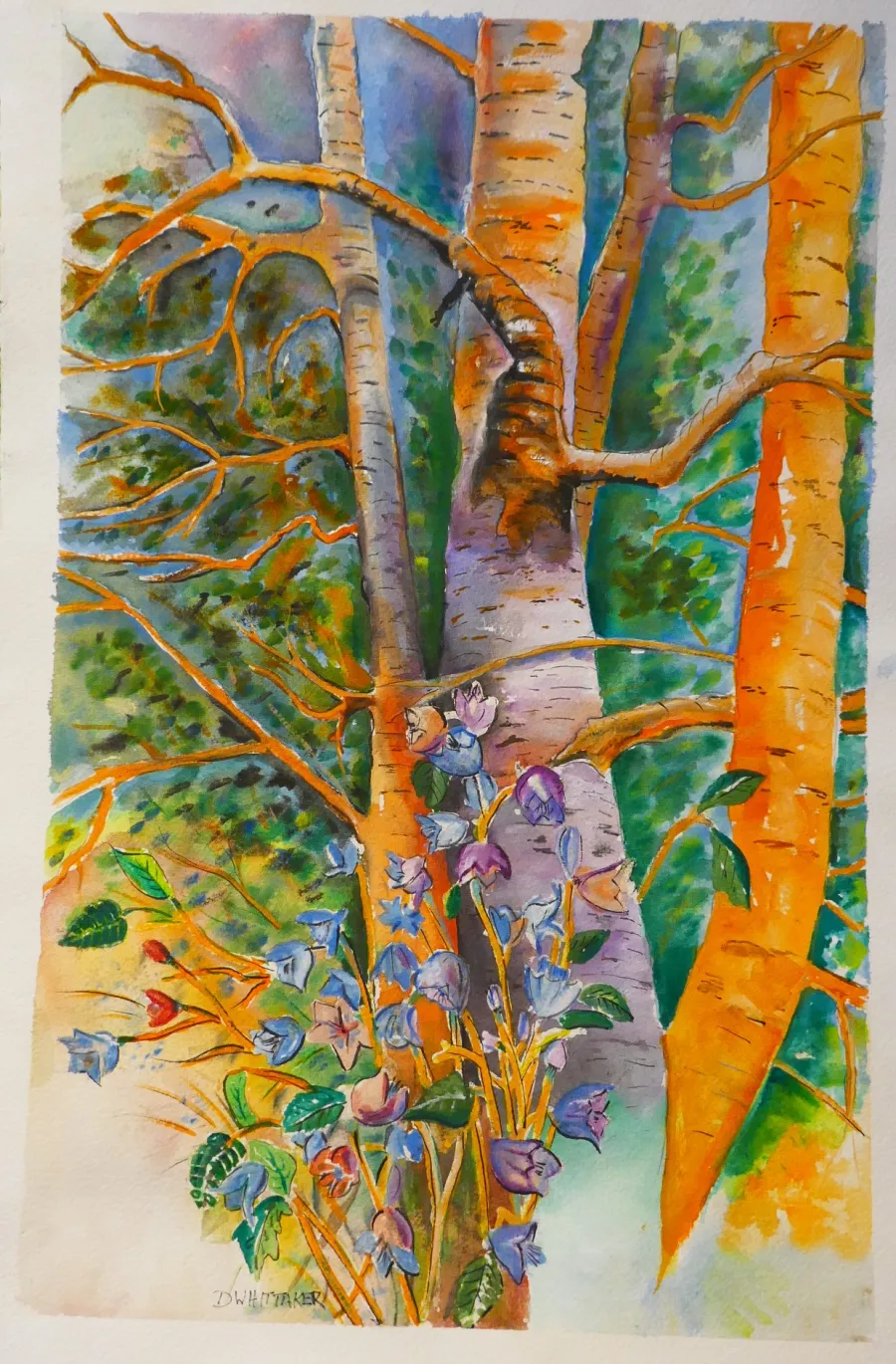 Watercolour by Dave