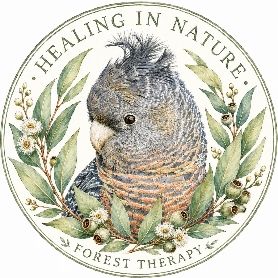 Guided Forest Therapy Walks