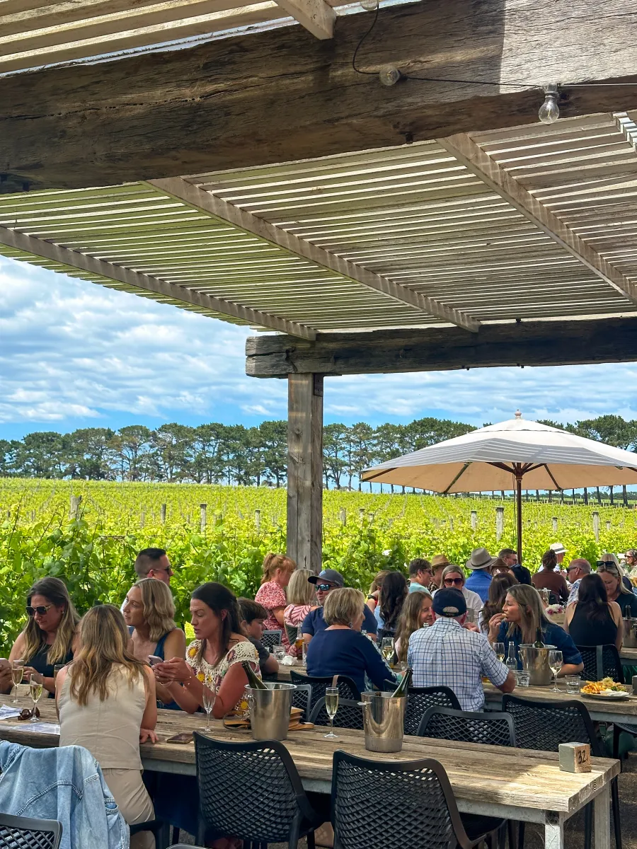 Vineyard dining