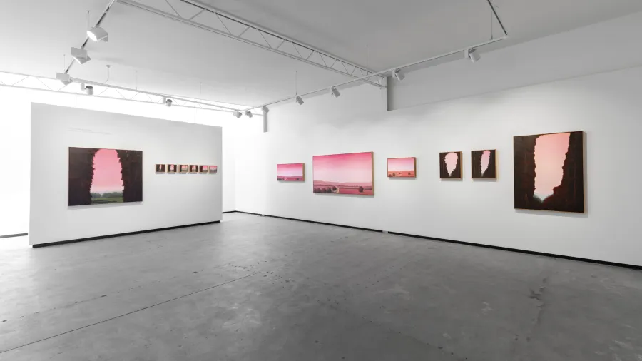 Gallery view of Amanda Johnson, 'Enclosure Acts: New Landscapes' Image of Gallery view