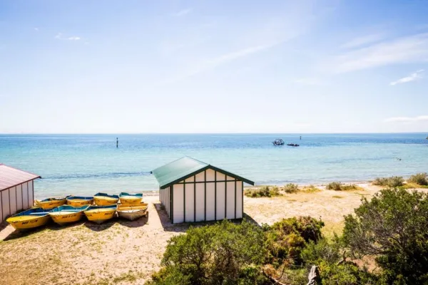 St Leonards boatsheds with the Ozone wreck in the distance.