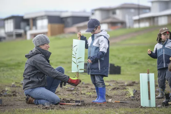 Community tree planting in new growth areas