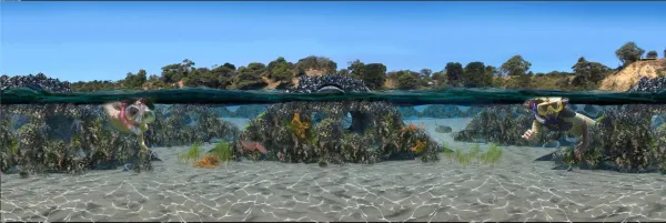 An artist impression of The Dell Eco Reef which will complement The Dell Historic Mineral Springs Boardwalk completed in 2020