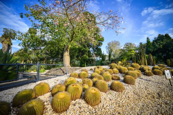 The Geelong Botanic Gardens