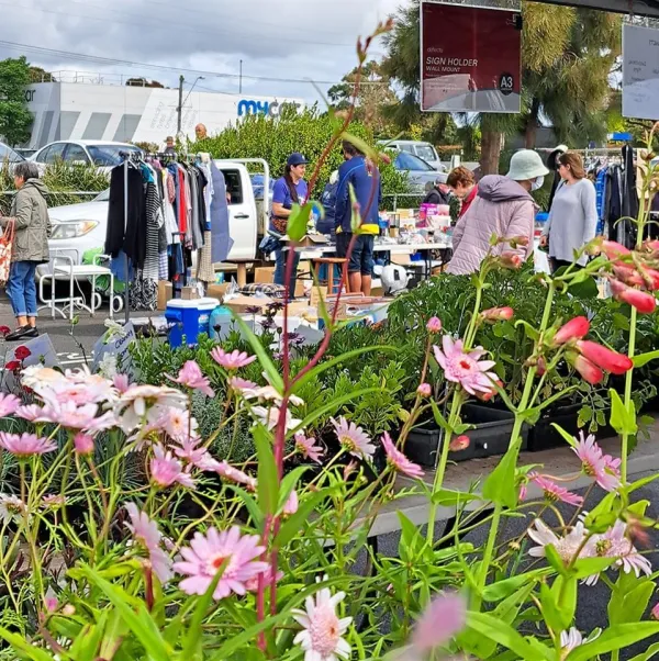 Belmont Market Plant Stall - Getting to the Belmont Market