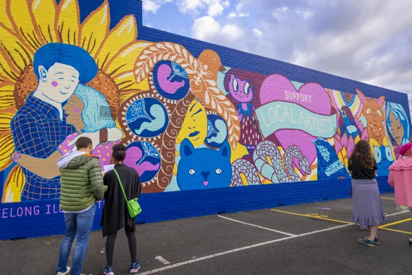 StreetArtTour_GlgIllustrators-6906.jpg Mural art by Geelong Illustrators in central Geelong.