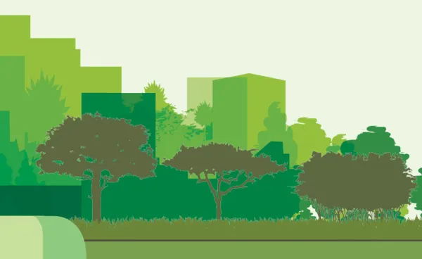 Urban Forest Strategy Urban Forest Strategy