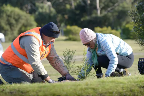Two City officers planting trees in a reserve at Barwon Heads.