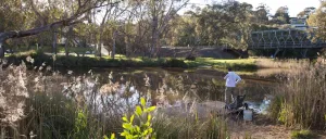 The Barwon river at Highton