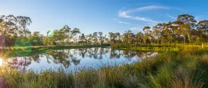 The stormwater catchment pond in Eastern Gardens