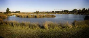 Lake lands